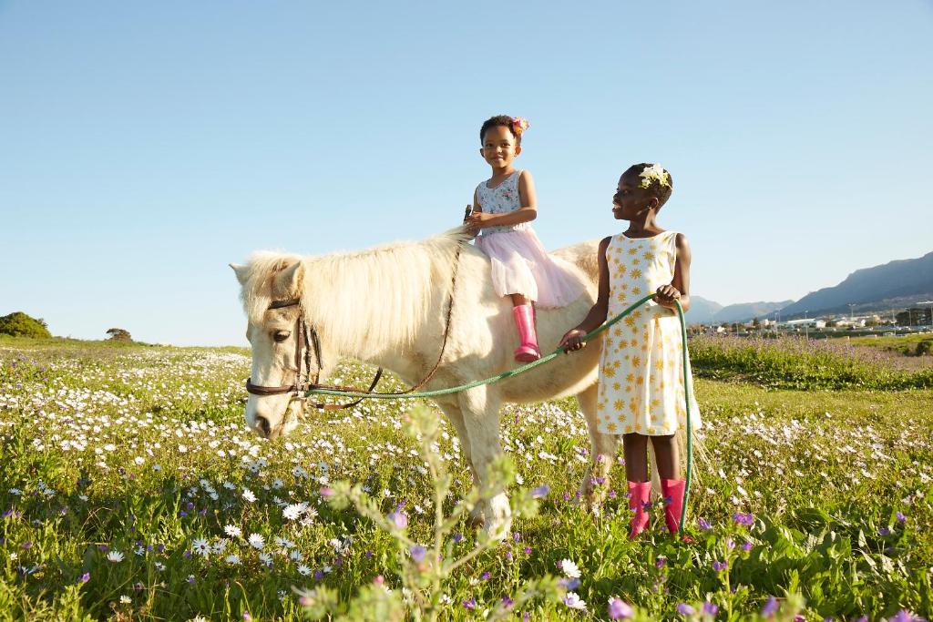dos jovencitas de pie sobre un caballo en un campo en Lighthouse Farm Backpackers Lodge, en Ciudad del Cabo