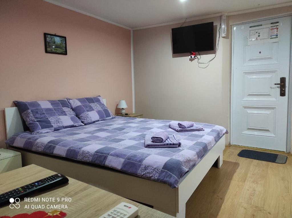 1 dormitorio con 1 cama y TV en la pared en 3 Andjela en Vrdnik