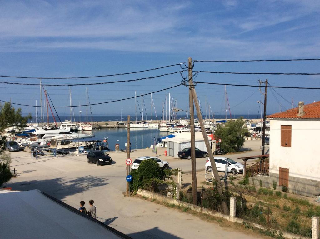Marina - 9