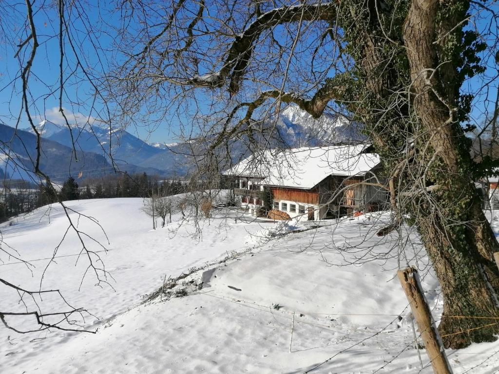 Gästehaus Pöppl v zimě