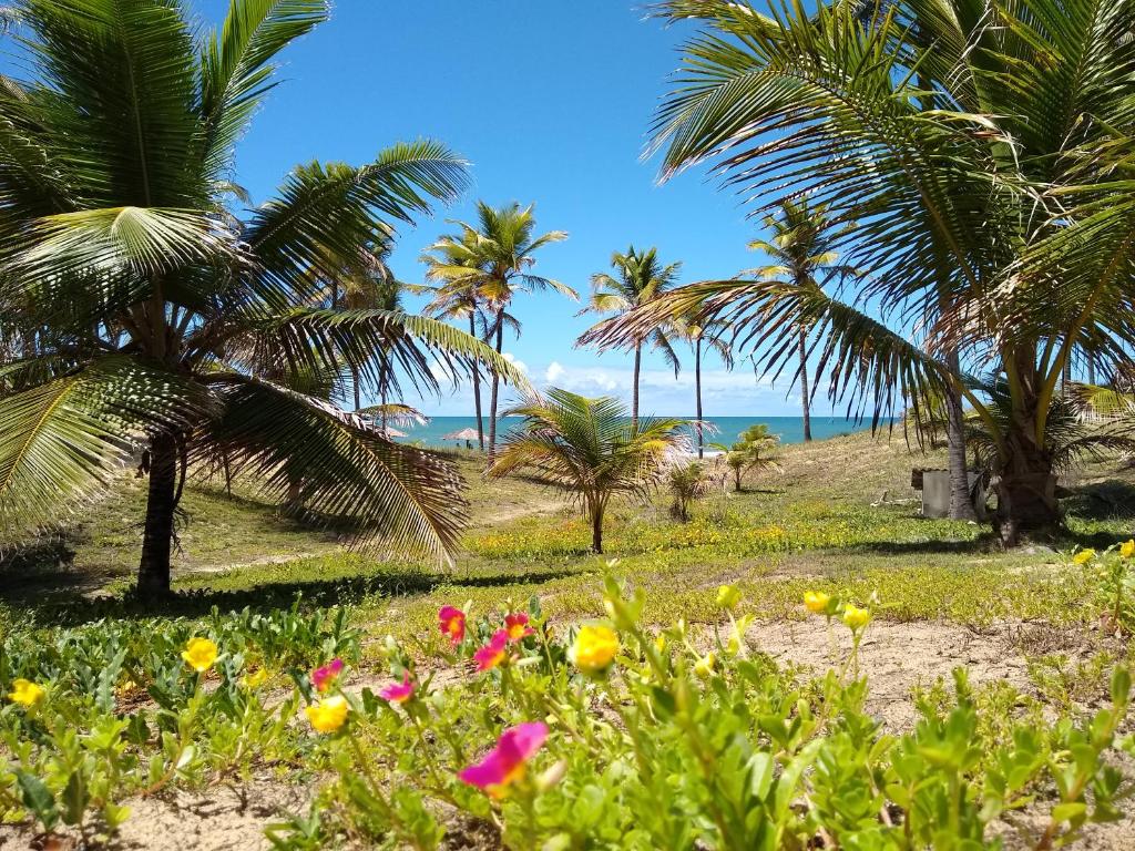  Hotel Coco Beach