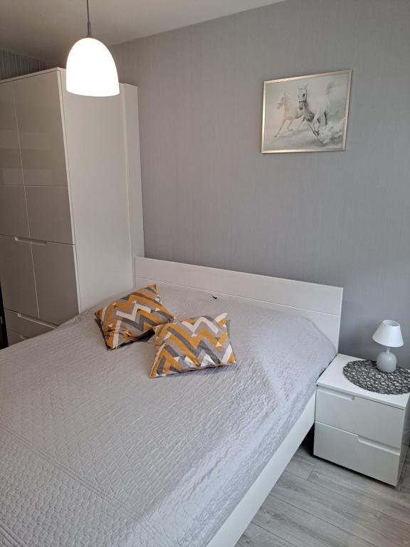 Studio Zabobrze - 14