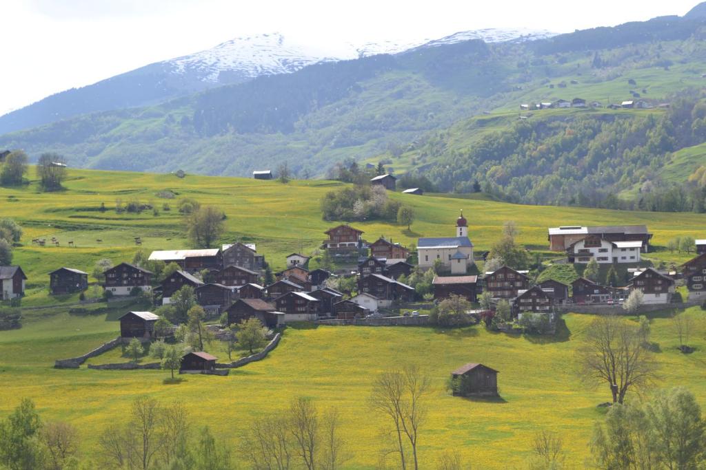 a village in a green field with a mountain at Chalets Casa da Luzi in Surcasti