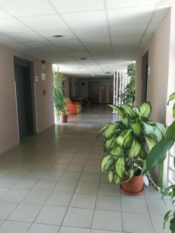 Zdjęcie z galerii obiektu Borisz Apartman Zalakaros w Zalakaros