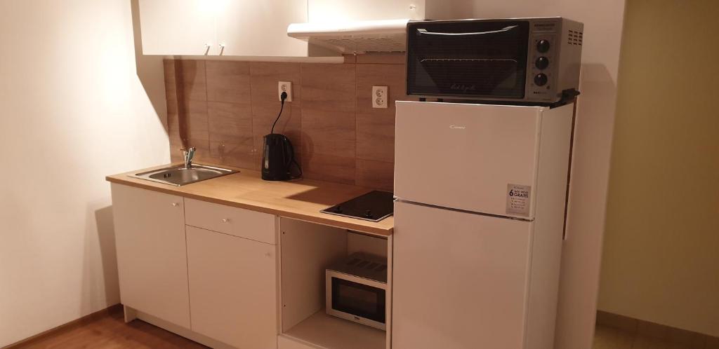 Kuchyň nebo kuchyňský kout v ubytování Ubytovani-prostejov