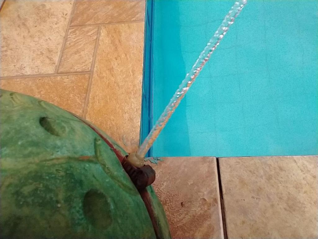  Pousada Camaleão