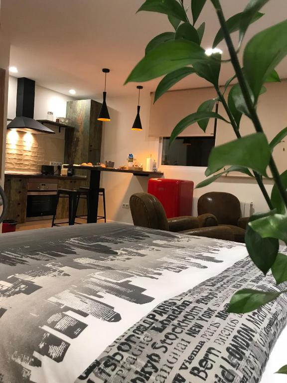 T-Homes - Cuenca - 10