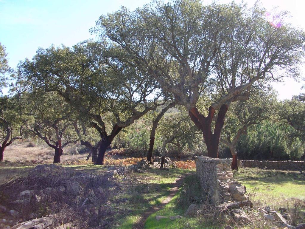 Casa Rural Sierra San Mamede, La Codosera – Bijgewerkte ...