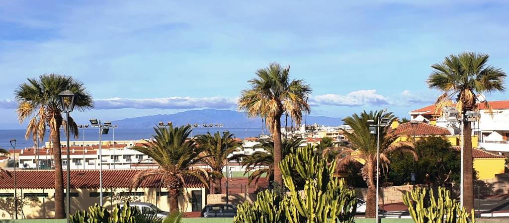 une ville avec des palmiers, des bâtiments et l'océan dans l'établissement Sunny house with private pool and sea view, à Adeje