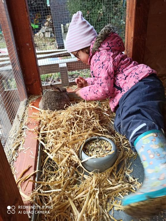 Hosté ubytování Pension Waldsauna