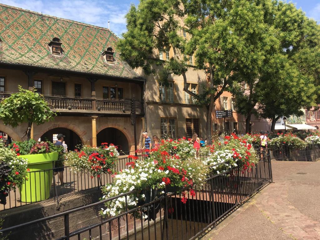 Centre historique Colmar La COLLÉGIALE RESORT – photo 35