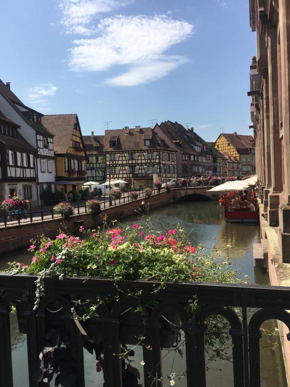 Centre historique Colmar La COLLÉGIALE RESORT – photo 36