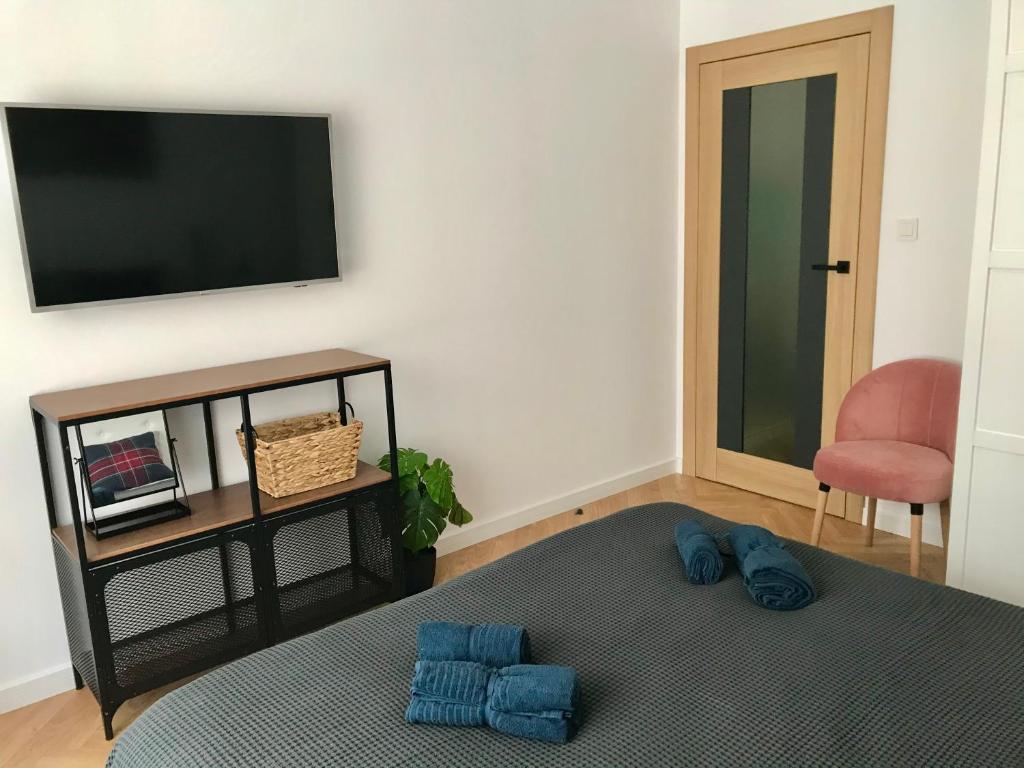 Televízia a/alebo spoločenská miestnosť v ubytovaní Apetyt na Gdańsk Apartament z prywatną sauną