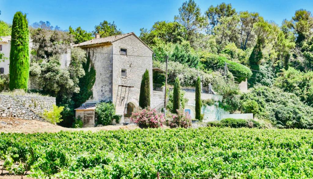 Zahrada ubytování VILLA BEL - Entre paradis et vignes