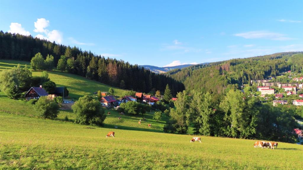 Zdjęcie z galerii obiektu Apartment Votrubcovi w mieście Jablonec nad Jizerou