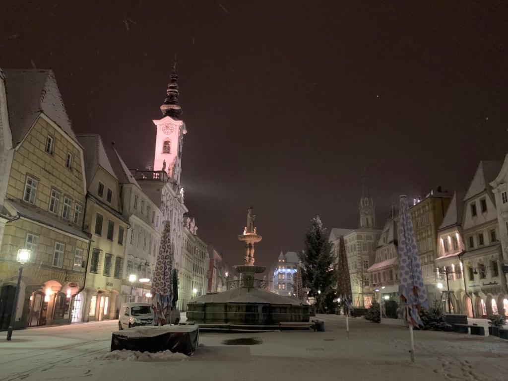 Miestna pamiatka v blízkosti apartmánu