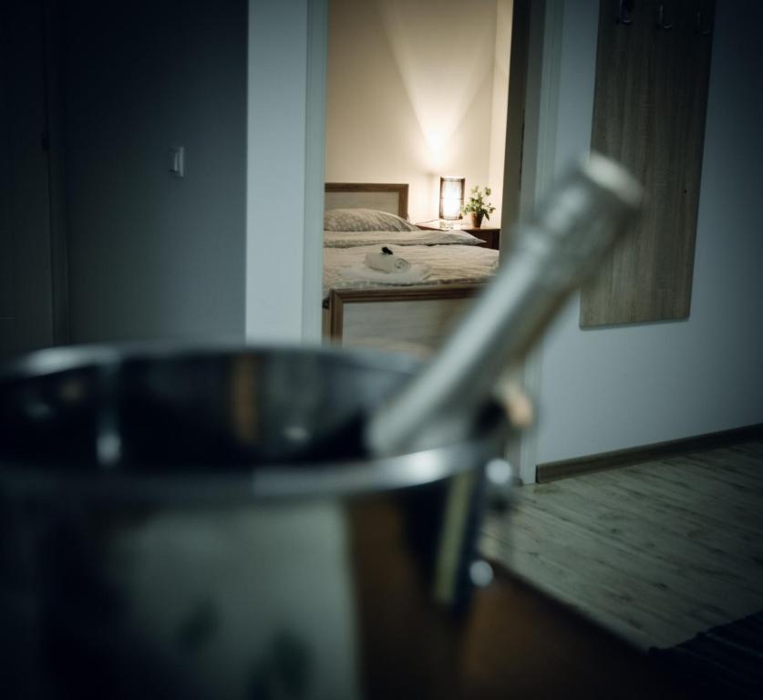 Fotografie z fotogalerie ubytování Radman's house v destinaci Niš