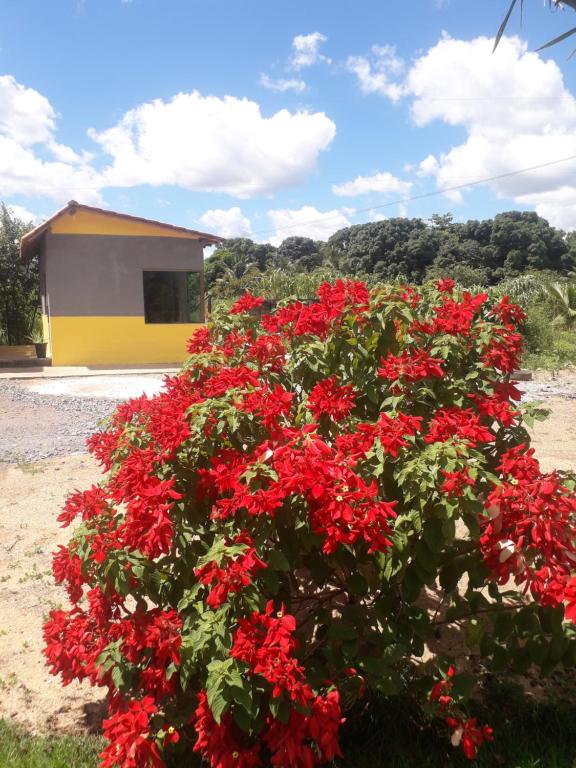 Gallery image of Pousada Chácara Família H in Caratinga