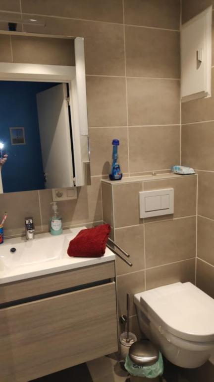Koupelna v ubytování De Zandeters