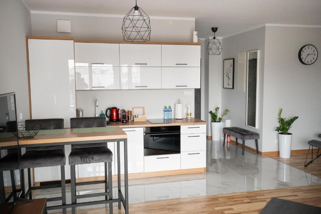 Apartament Ventus Business and Living
