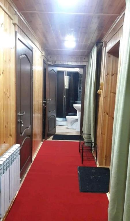 У Зары - отзывы и видео