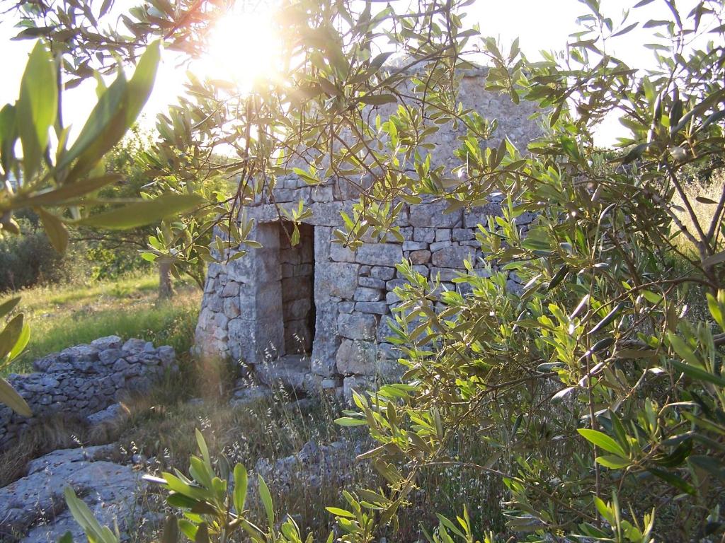 Zahrada ubytování Antica Aia B&B