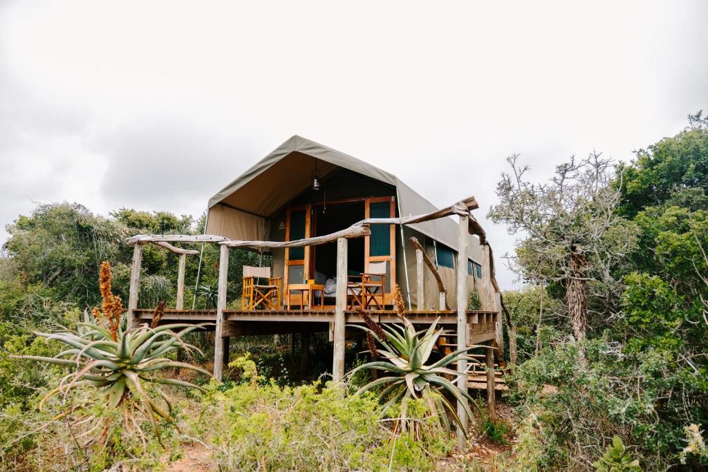 Zahrada ubytování Woodbury Tented Camp – Amakhala Game Reserve