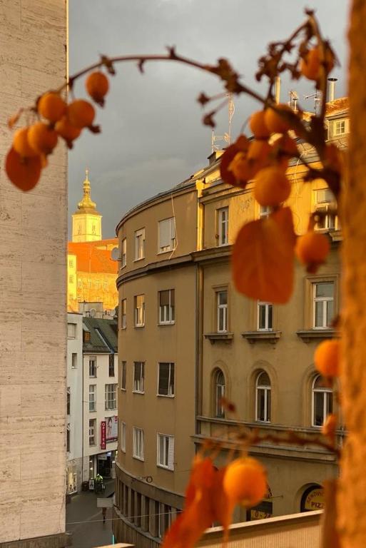 Main Square Dream Apartment - 19