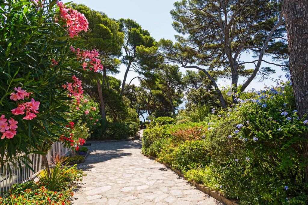Zahrada ubytování Résidence hôtelière Le Provençal à Giens - Bord de mer