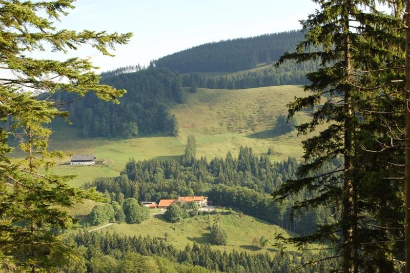 Naturlandskabet i nærheden af lejligheden