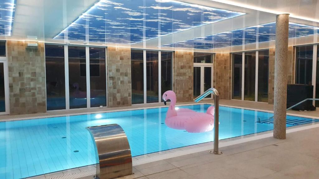 ein Schwimmbad mit einem rosa Schwan auf dem Wasser in der Unterkunft Ośrodek nad jeziorem - Radew Rosnowo in Rosnowo