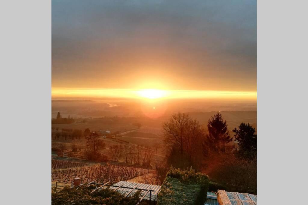 uma vista para o pôr-do-sol a partir do topo de uma colina em Vue panoramique sur le vignoble em Sancerre
