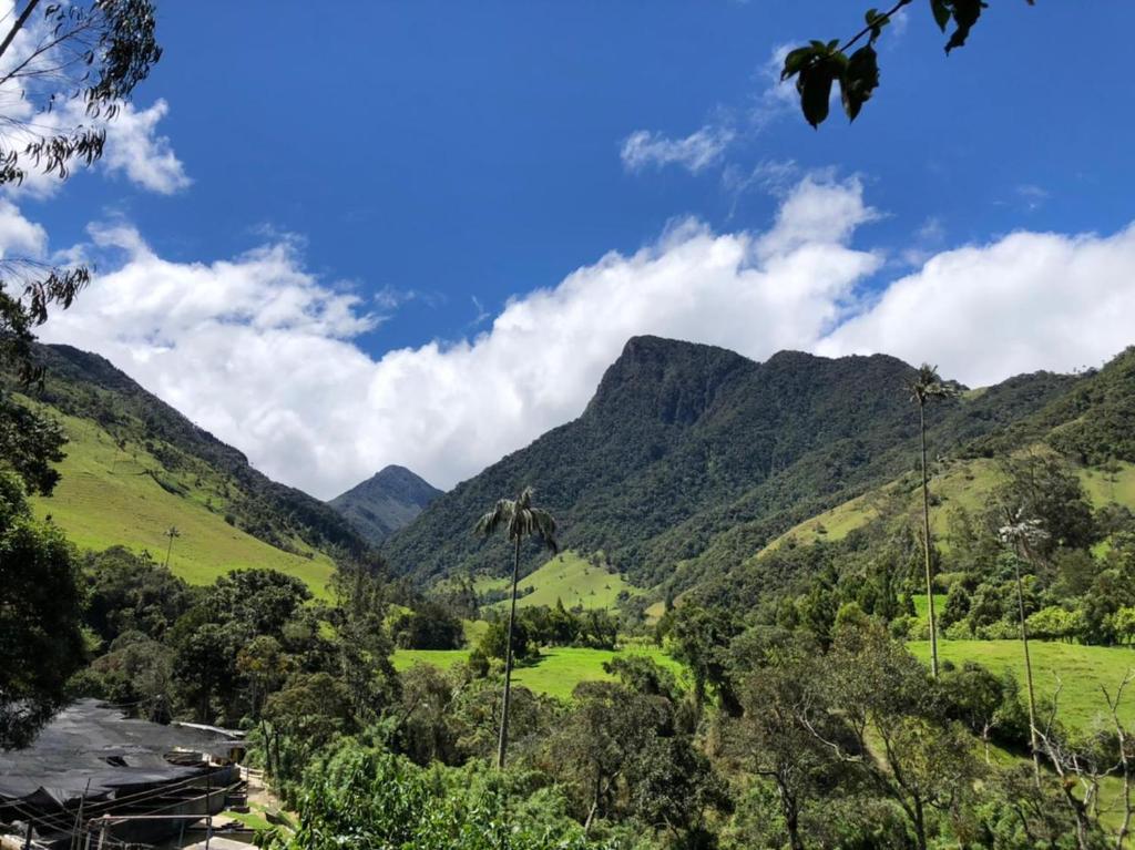 vistas a un valle con montañas en el fondo en Cabañas Valle del Cocora La Truchera, en Salento