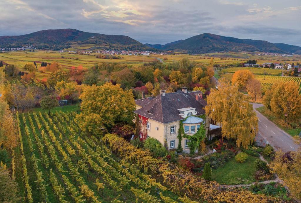 een luchtzicht op een huis in een wijngaard bij Landhaus Messerschmitt in Böchingen