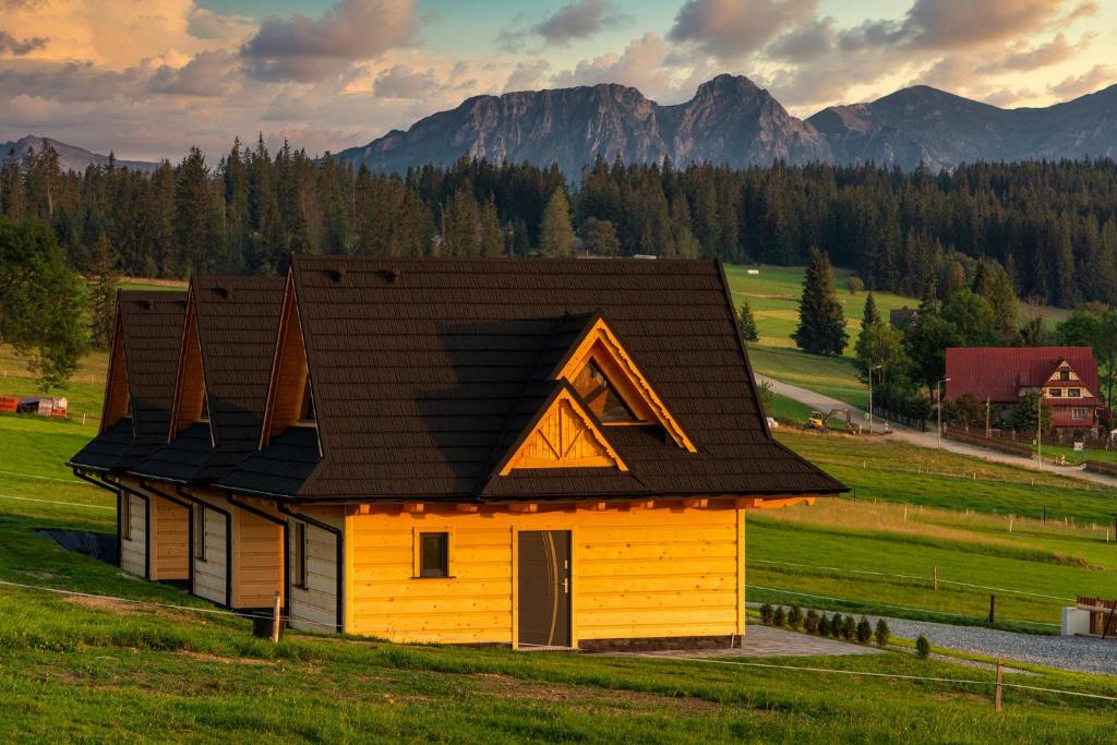 a small yellow house with a black roof in a field at Domki-Przystanek Dzianisz in Dzianisz