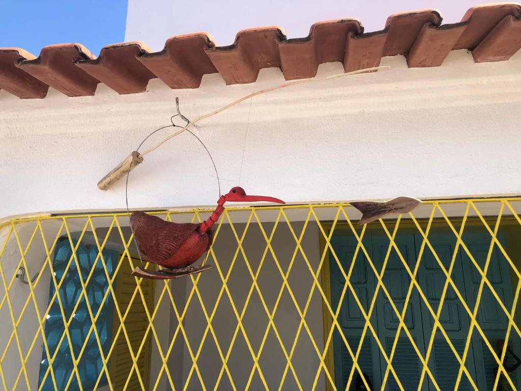  SerTãonejo