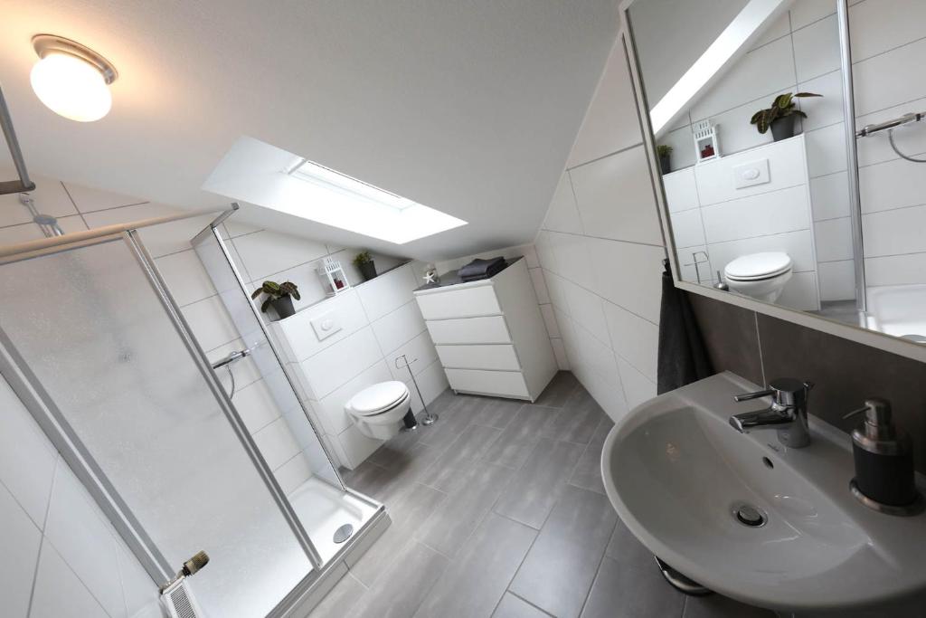a bathroom with a sink and a shower and a toilet at Ferienwohnungen Wiesengrund in Monschau