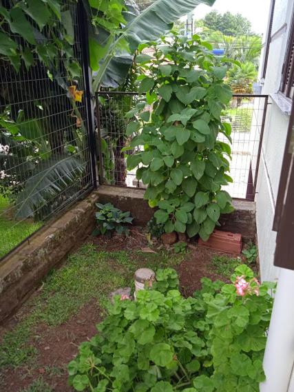  Apartamento completo na Serra Gaúcha