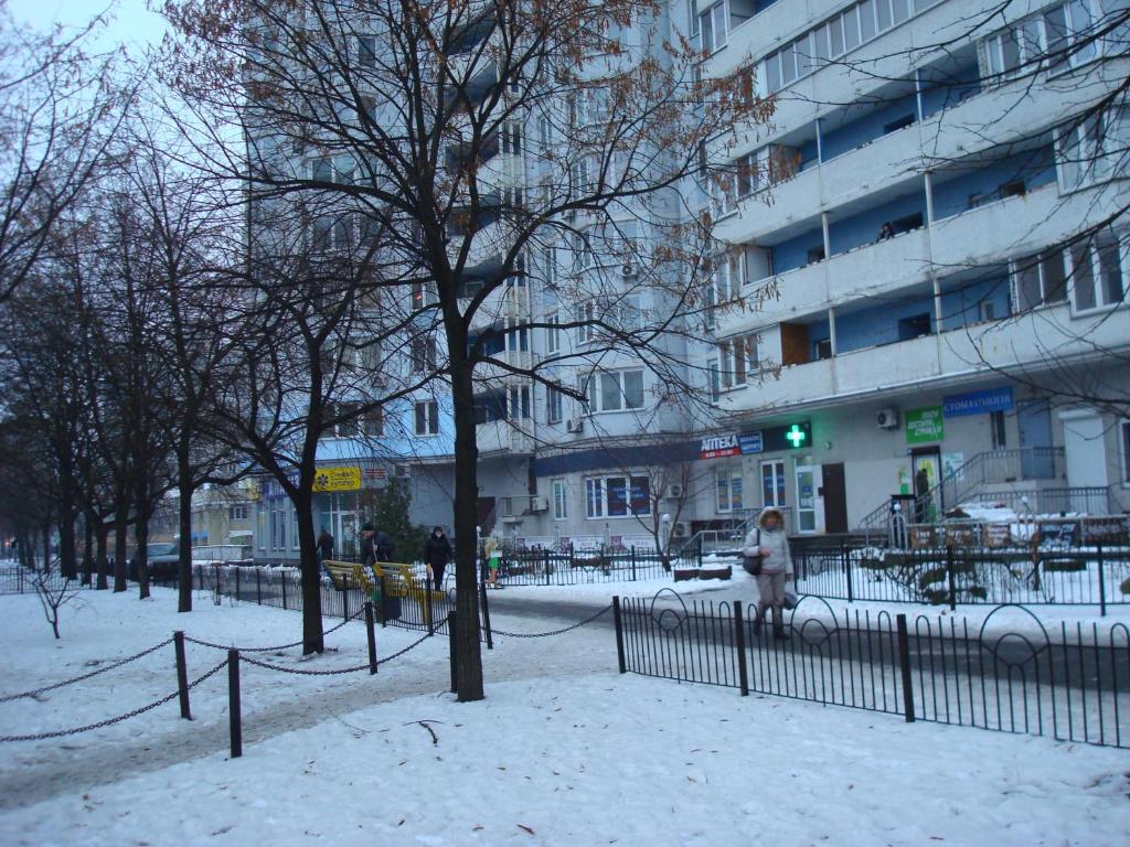 Дом с прекрасным видом в г. Киеве зимой