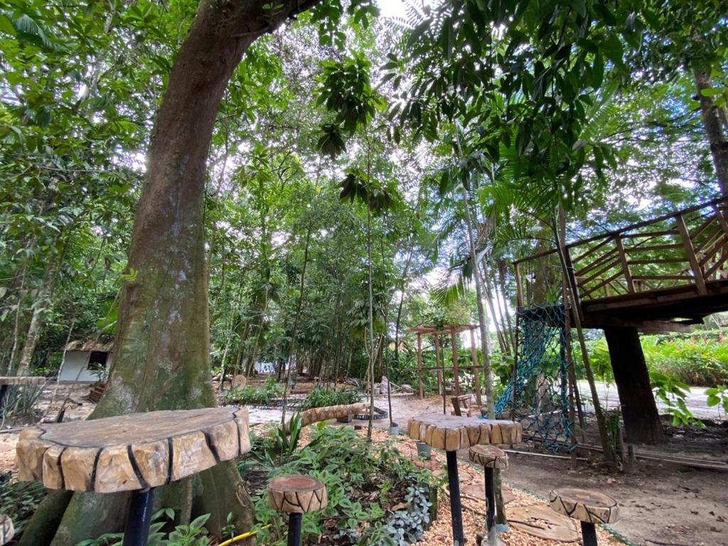  ReservAmazon Forest Hotel