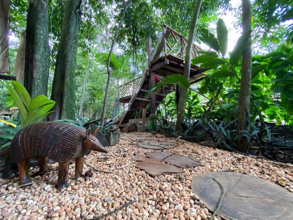  ReservAmazon Forest Hotel