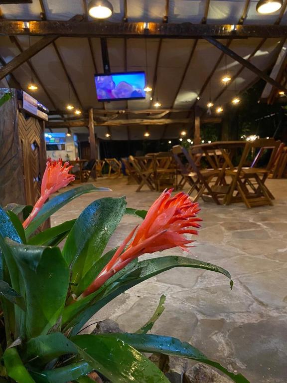  ReservAmazon Forest Hotel