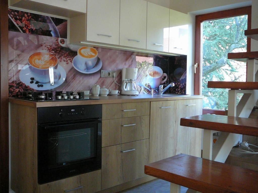 Kuchyň nebo kuchyňský kout v ubytování Dunakanyar Apartment