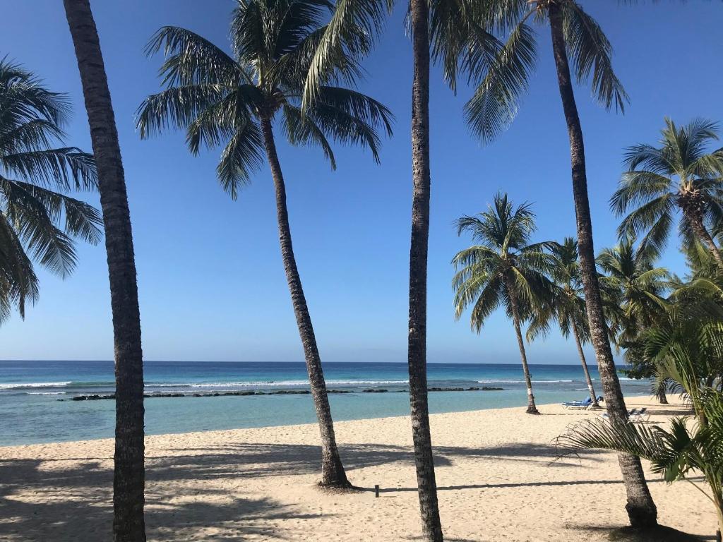 Capital City of Bridgetown - Coconut Beach Hotel