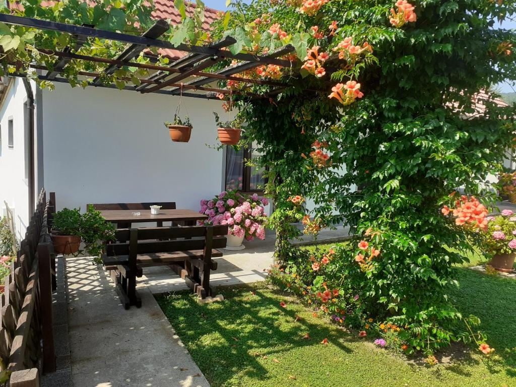 Vonkajšia záhrada v ubytovaní Apartment Petra i Nikola