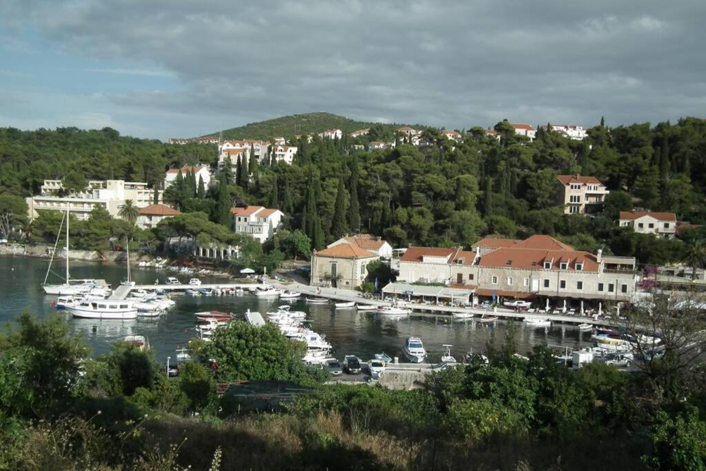 Príroda v okolí vily