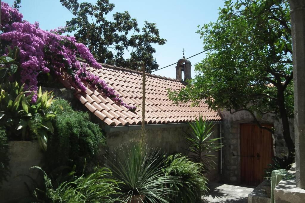 Vonkajšia záhrada v ubytovaní 4 bedroom Villa in old Cavtat