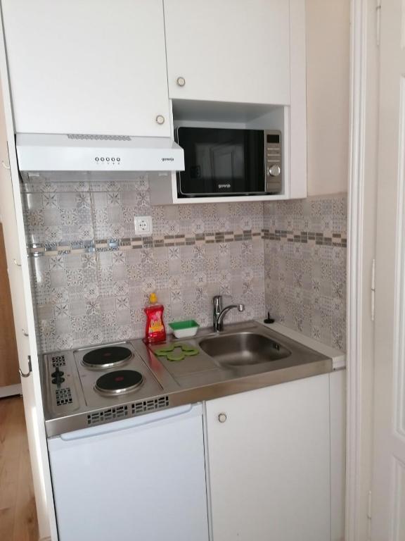 Kuchnia lub aneks kuchenny w obiekcie APARTMAN LUŠETIĆ