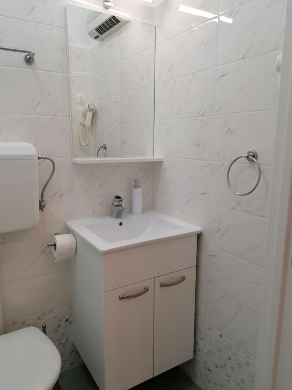 Een badkamer bij APARTMAN LU&Scaron;ETI&#x106;