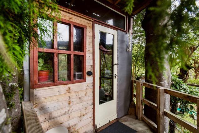 Cabaña de madera con puerta y ventana en The Treehut en Island Bay